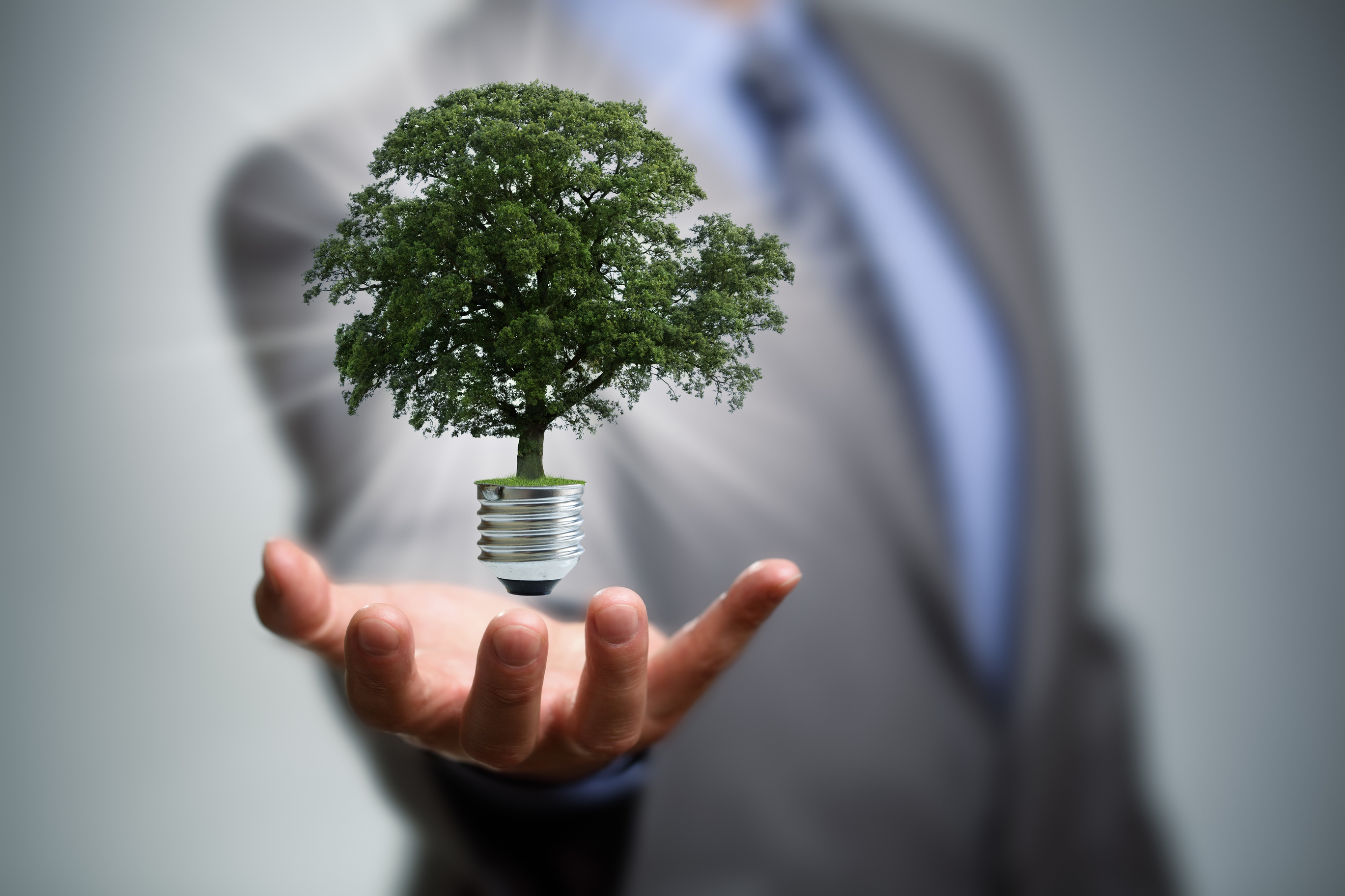 Como a BR Limpeza Contribui para um Ambiente Mais Verde